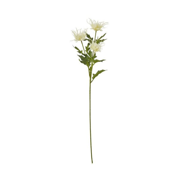 Cream Sea Holly Spray - Canwell Interiors Limited - Hills