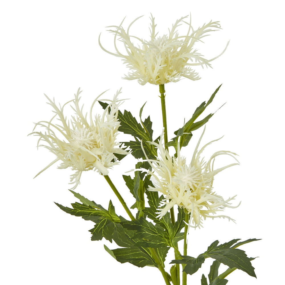 Cream Sea Holly Spray - Canwell Interiors Limited - Hills