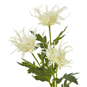 Cream Sea Holly Spray - Canwell Interiors Limited - Hills