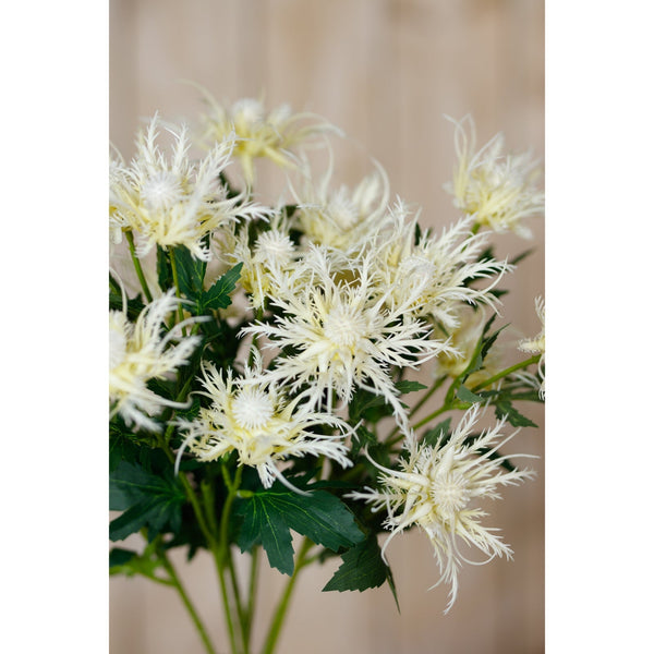 Cream Sea Holly Spray - Canwell Interiors Limited - Hills