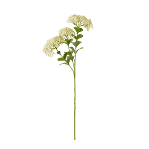 Cream Sedum Spray - Canwell Interiors Limited - Hills