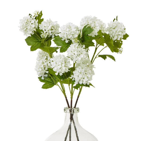 Cream Snowball Viburnum Spray - Canwell Interiors Limited - Hills