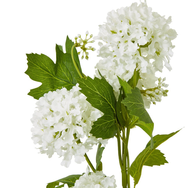 Cream Snowball Viburnum Spray - Canwell Interiors Limited - Hills