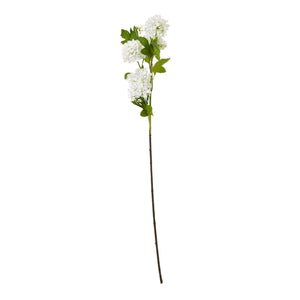 Cream Snowball Viburnum Spray - Canwell Interiors Limited - Hills