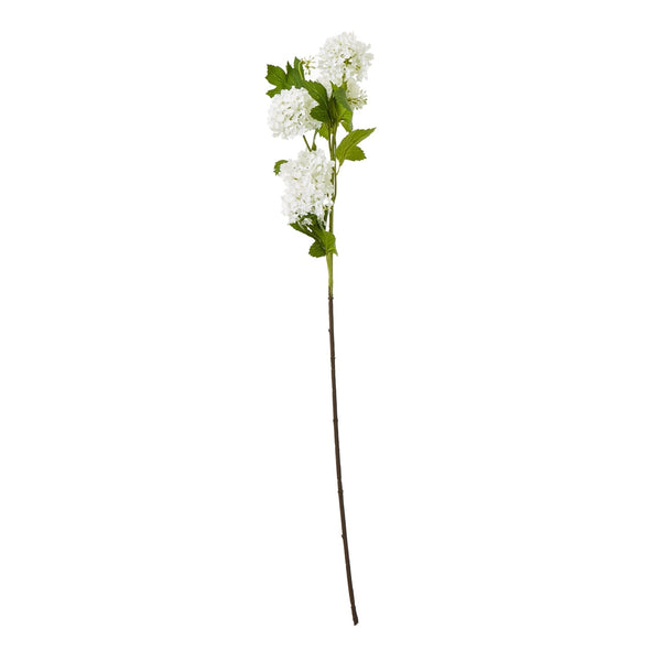 Cream Snowball Viburnum Spray - Canwell Interiors Limited - Hills