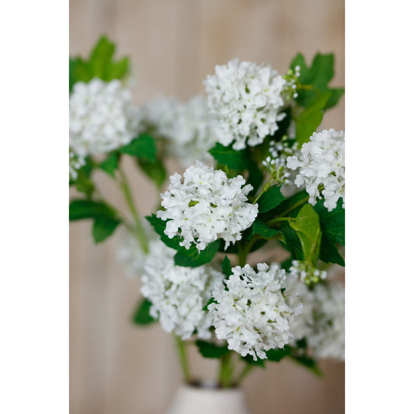 Cream Snowball Viburnum Spray - Canwell Interiors Limited - Hills
