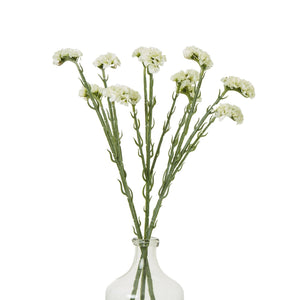 Cream Statice Spray - Canwell Interiors Limited - Hills
