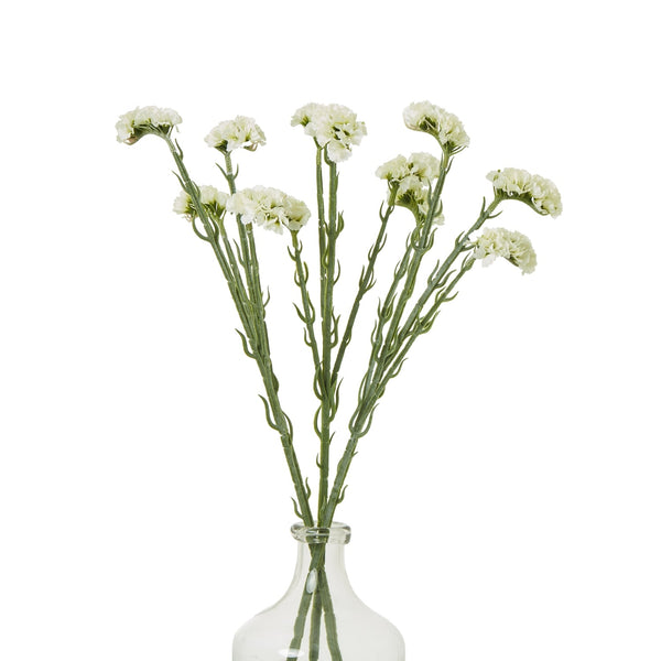 Cream Statice Spray - Canwell Interiors Limited - Hills