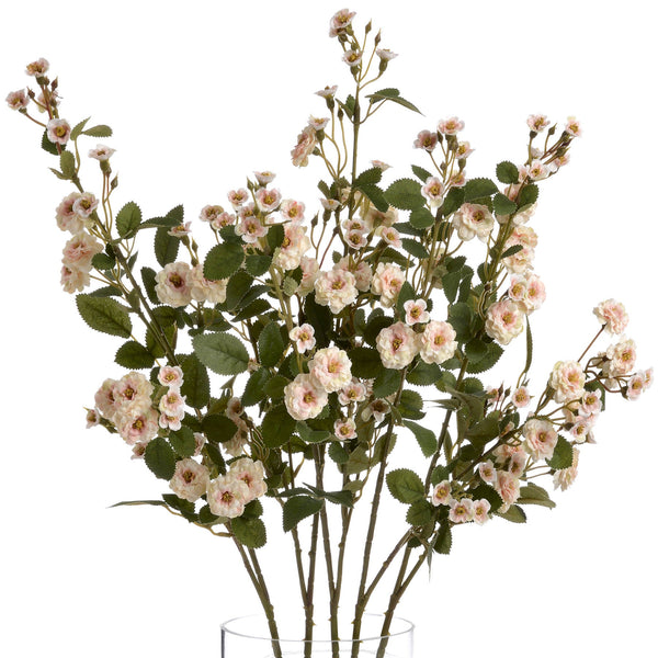 Cream Wild Meadow Rose - Canwell Interiors Limited - Hills