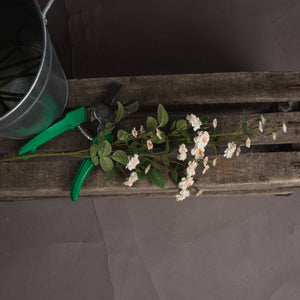 Cream Wild Meadow Rose - Canwell Interiors Limited - Hills