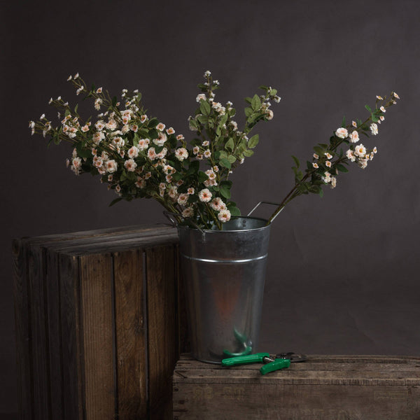 Cream Wild Meadow Rose - Canwell Interiors Limited - Hills