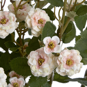 Cream Wild Meadow Rose - Canwell Interiors Limited - Hills