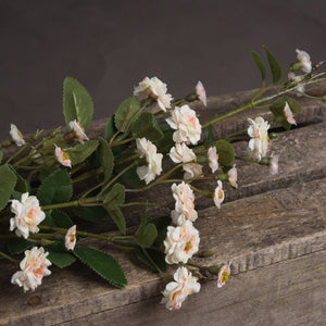 Cream Wild Meadow Rose - Canwell Interiors Limited - Hills