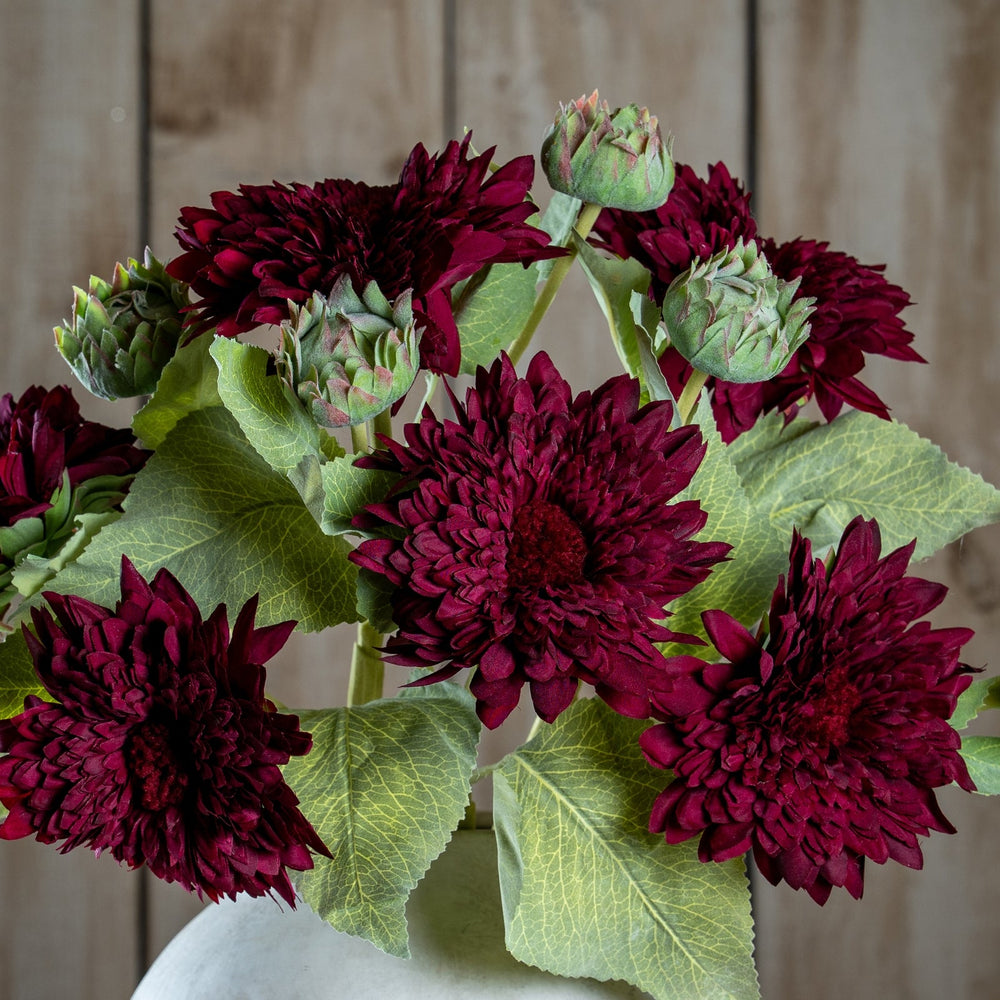 Dahlia Burgundy Raven Stem - Canwell Interiors Limited - Hills