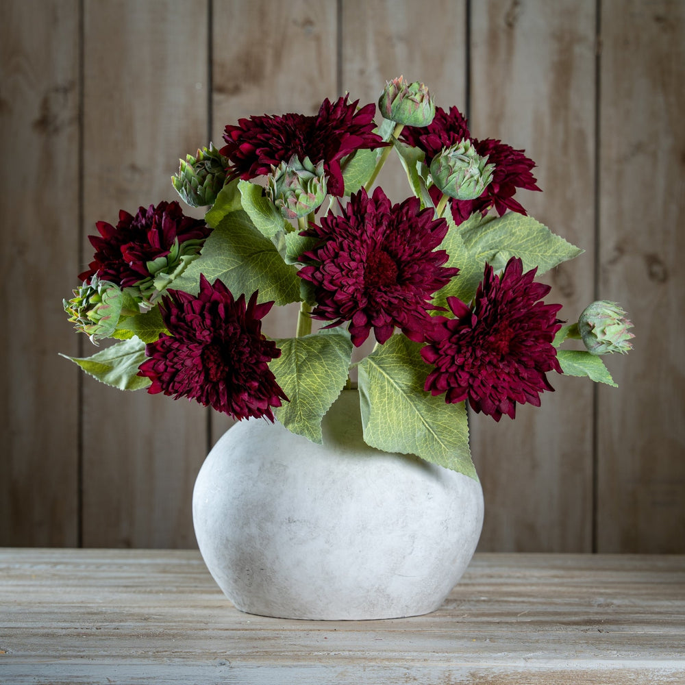Dahlia Burgundy Raven Stem - Canwell Interiors Limited - Hills