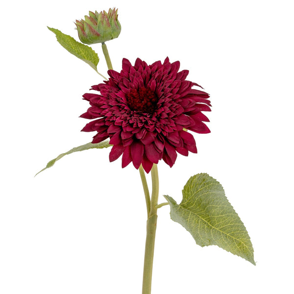 Dahlia Burgundy Raven Stem - Canwell Interiors Limited - Hills