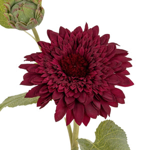 Dahlia Burgundy Raven Stem - Canwell Interiors Limited - Hills