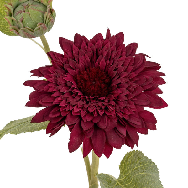 Dahlia Burgundy Raven Stem - Canwell Interiors Limited - Hills