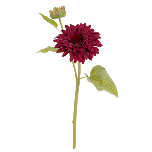 Dahlia Burgundy Raven Stem - Canwell Interiors Limited - Hills