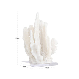 Decorative Object Lilly White Coral Look - XShowhome Limited - Richmond