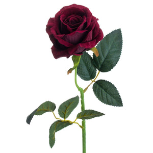 Deep Red Rose - Canwell Interiors Limited - Hills