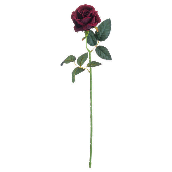 Deep Red Rose - Canwell Interiors Limited - Hills