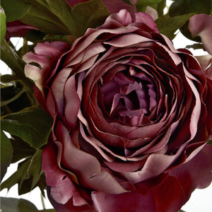 Dusty Pink Spray Rose Peony - Canwell Interiors Limited - Hills