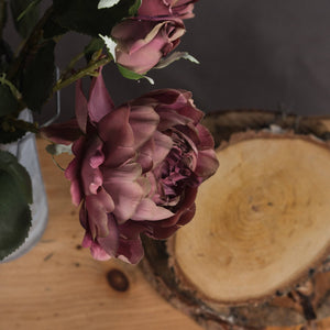 Dusty Pink Spray Rose Peony - Canwell Interiors Limited - Hills