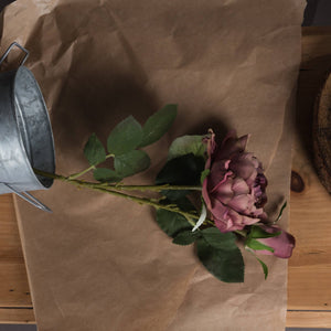 Dusty Pink Spray Rose Peony - Canwell Interiors Limited - Hills