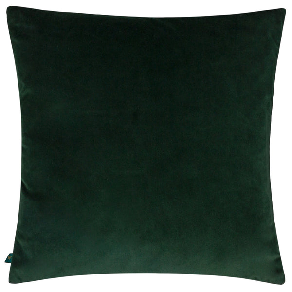 Ebon Wilds Jahi 43x43 Feather Filled Cushion Tangerine - Canwell Interiors Limited - Riva