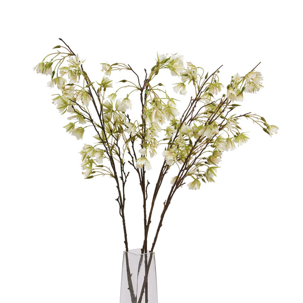 Elaeocarpus Stem - Canwell Interiors Limited - Hills