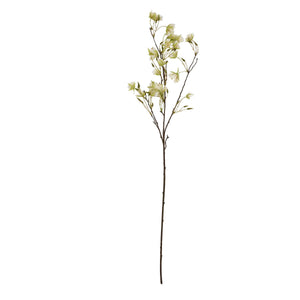 Elaeocarpus Stem - Canwell Interiors Limited - Hills