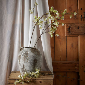 Elaeocarpus Stem - Canwell Interiors Limited - Hills