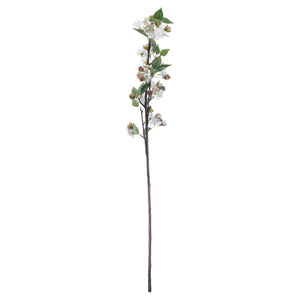 English Blossom Branch - Canwell Interiors Limited - Hills