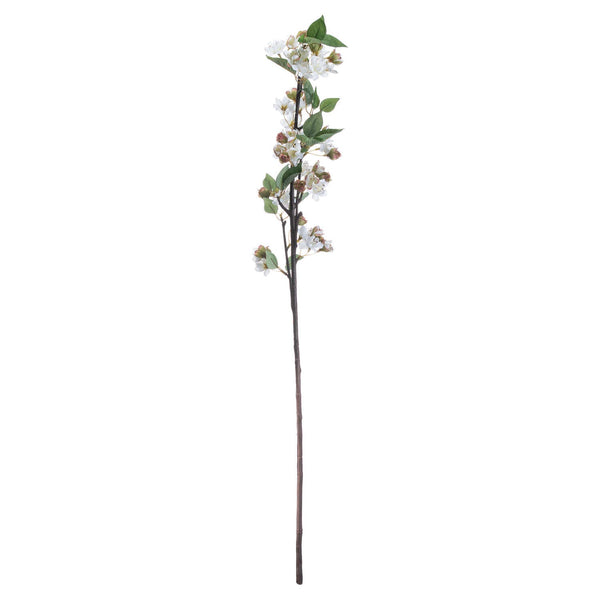 English Blossom Branch - Canwell Interiors Limited - Hills