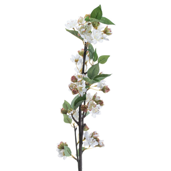 English Blossom Branch - Canwell Interiors Limited - Hills