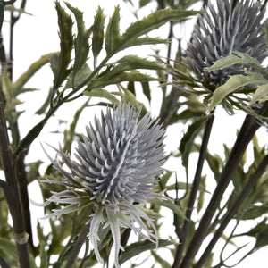 Eryngium Thistle - Canwell Interiors Limited - Hills