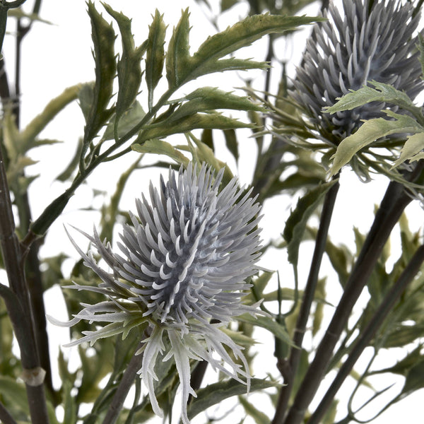 Eryngium Thistle - Canwell Interiors Limited - Hills