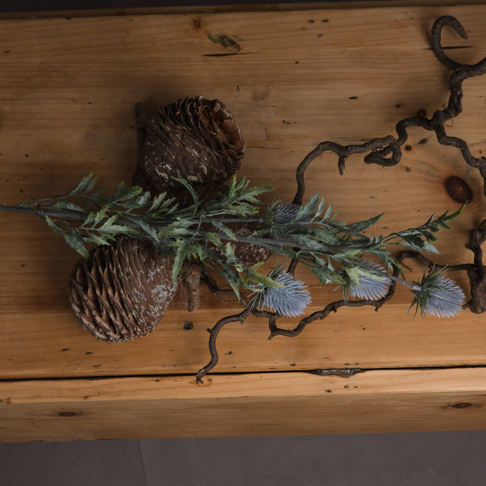 Eryngium Thistle - Canwell Interiors Limited - Hills