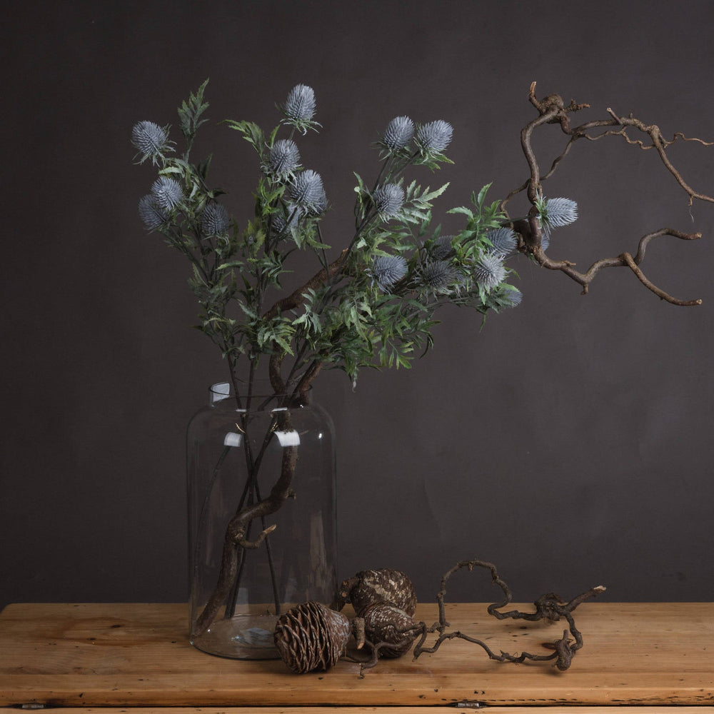 Eryngium Thistle - Canwell Interiors Limited - Hills