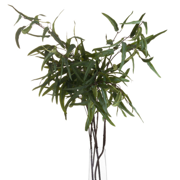 Eucalyptus Nicholii Spray - Canwell Interiors Limited - Hills