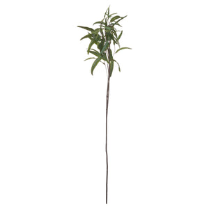 Eucalyptus Nicholii Spray - Canwell Interiors Limited - Hills