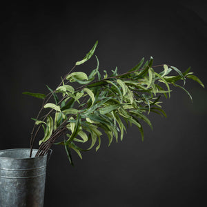 Eucalyptus Nicholii Spray - Canwell Interiors Limited - Hills