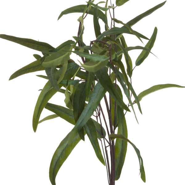 Eucalyptus Nicholii Spray - Canwell Interiors Limited - Hills