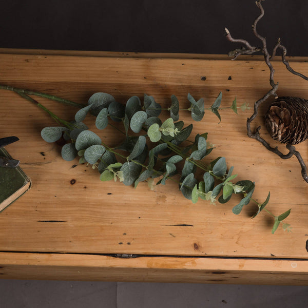 Eucalyptus Spray - Canwell Interiors Limited - Hills