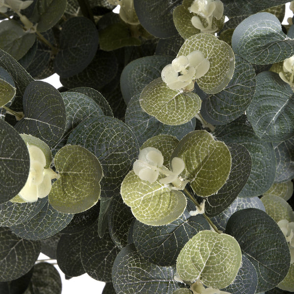 Eucalyptus Spray - Canwell Interiors Limited - Hills