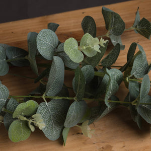 Eucalyptus Spray - Canwell Interiors Limited - Hills