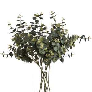 Eucalyptus Spray - Canwell Interiors Limited - Hills