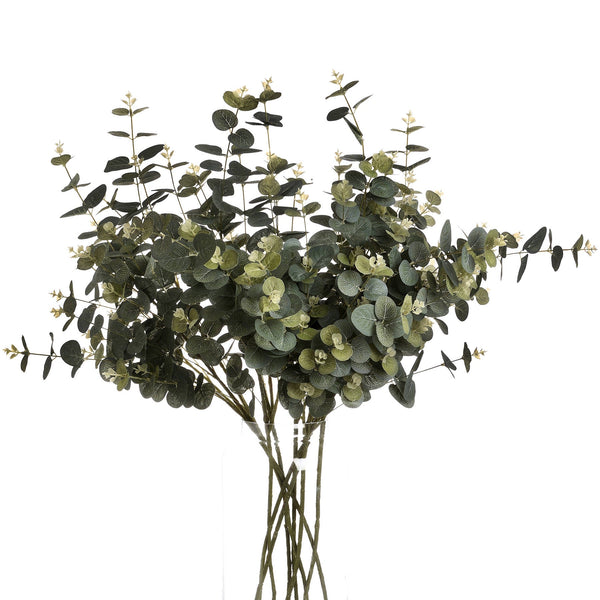 Eucalyptus Spray - Canwell Interiors Limited - Hills