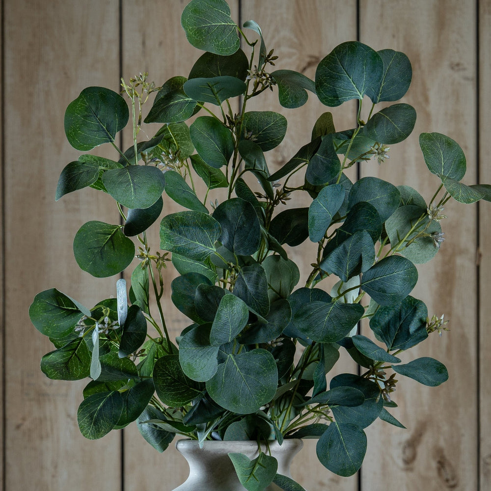 Eucalyptus Stem Spray - Canwell Interiors Limited - Hills